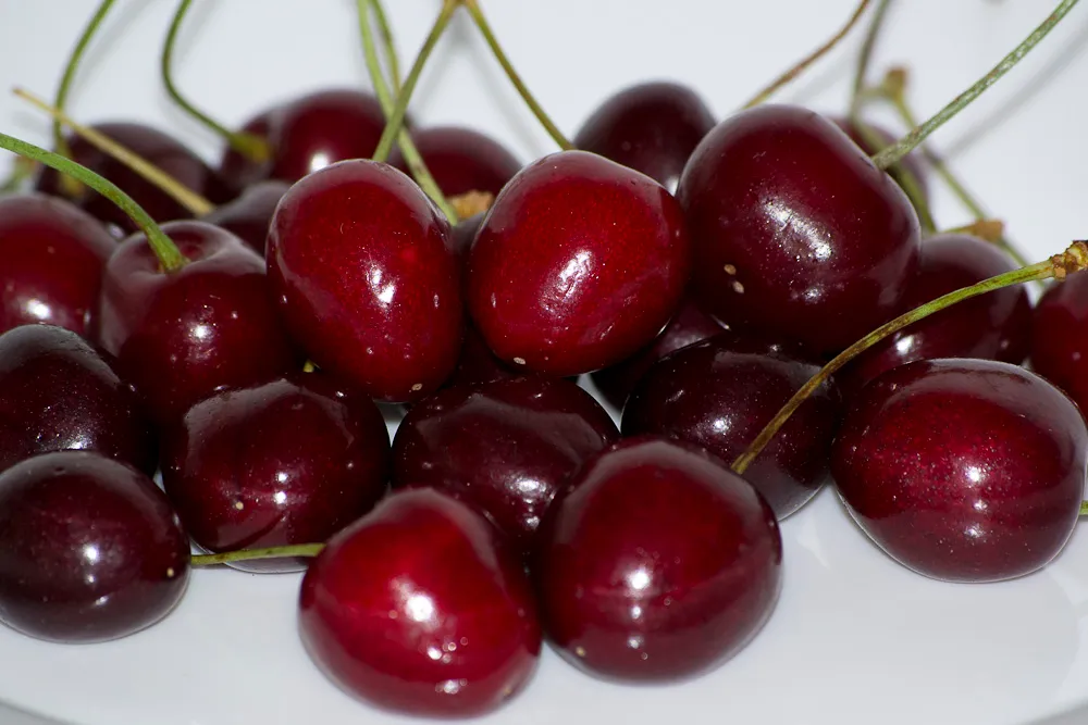 Ripe, glossy cherries with stems, on a plate