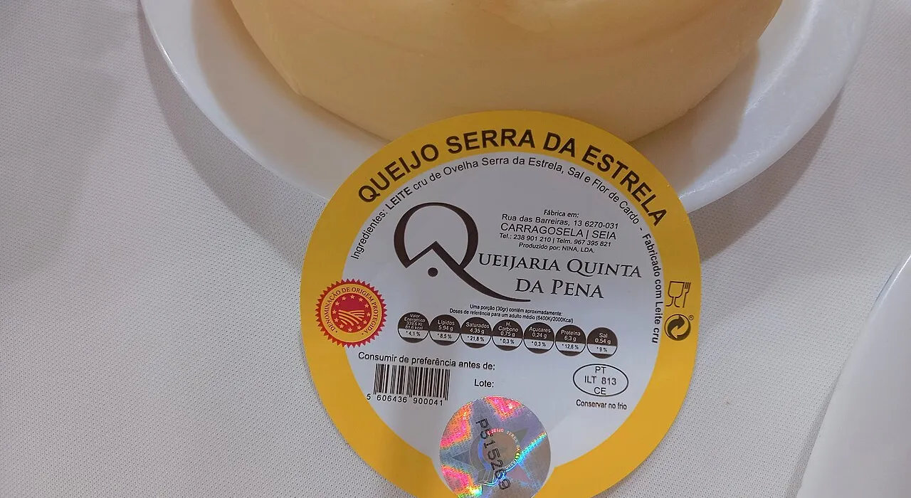 A whole wheel of Queijo Serra da Estrela DOP cheese, with the dairy's label
